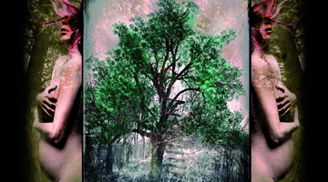 CD Livin Free - From Cradle to Coffin 